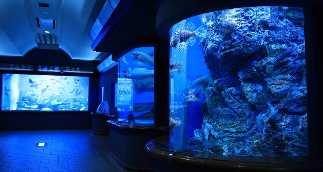 🐠 시부카와 마린 수족관(다마노 해양 박물관) 이미지 1